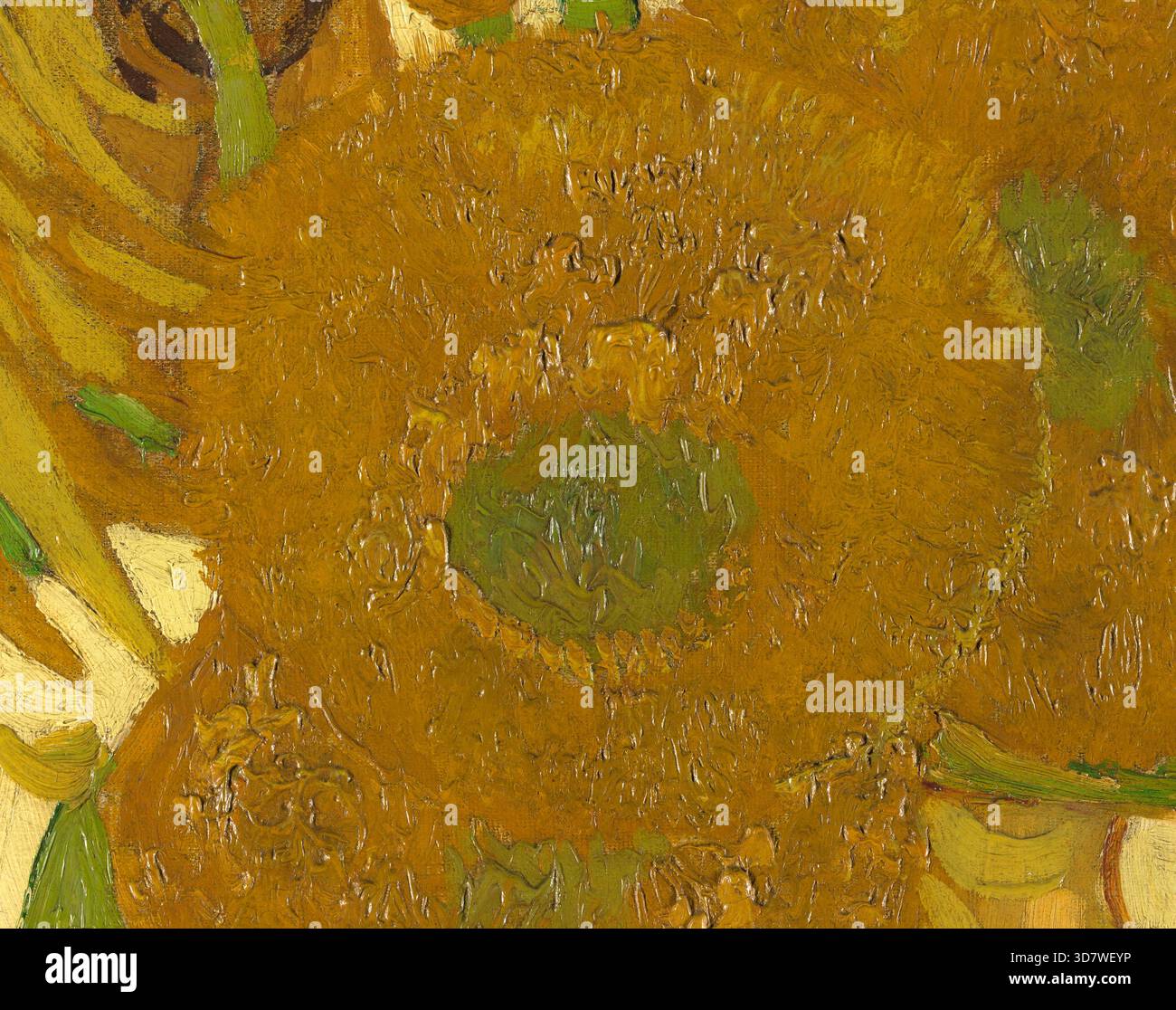 Girasoli (dettaglio), 1888 olio su tela dell'artista olandese post-impressionista Vincent van Gogh (1853-1890) che mostra il primo piano di girasole eseguito con audaci pennellate impasto. Vedere l'immagine 3D7WEY3 per la pittura completa. Foto Stock