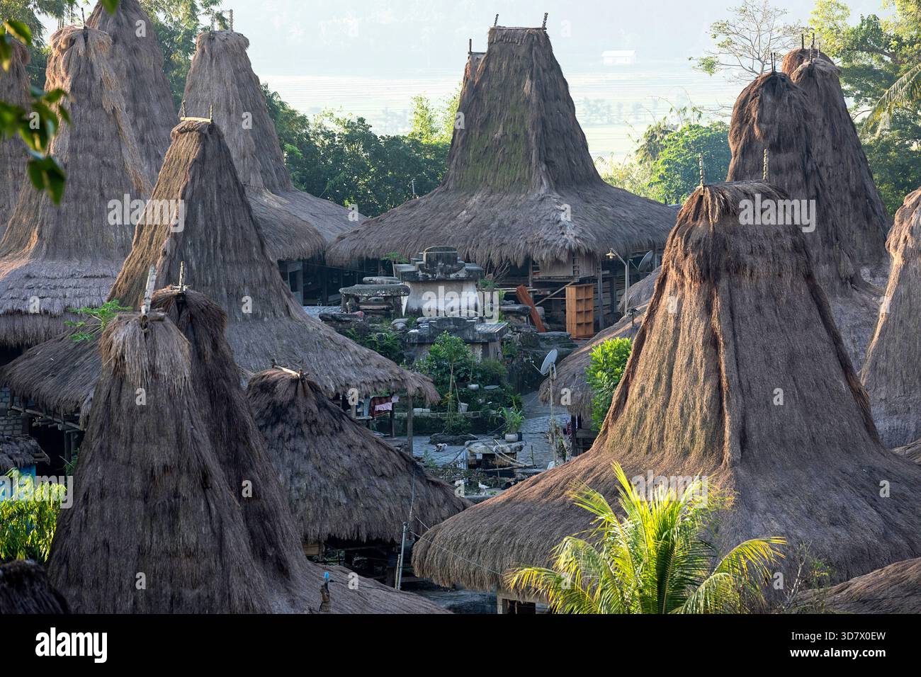 Vista ravvicinata degli unici tetti alti in paglia delle case tradizionali del clan Uma nel villaggio storico di Praijing sull'isola di Sumba, Indonesia. Foto Stock