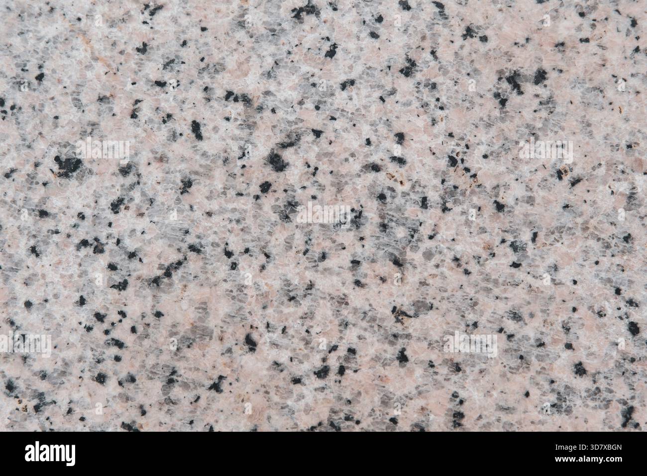 Un muro di pietra con molti piccoli fori. I buchi sono bianchi e neri. Il muro è grigio Foto Stock