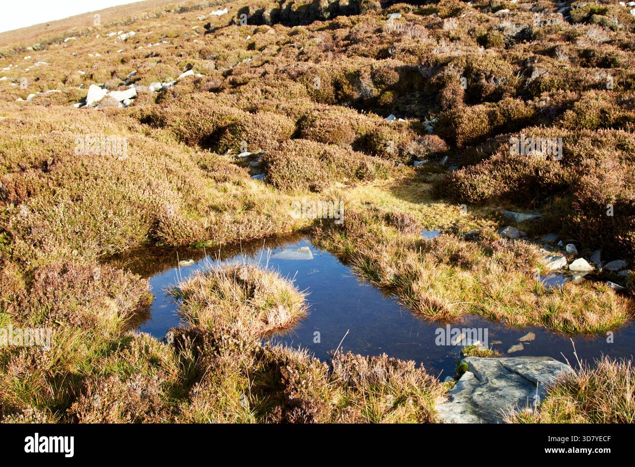 piscine d'acqua nella torbiera di montagna sulla montagna garveross cashel glencolumbkille county donegal repubblica d'irlanda Foto Stock