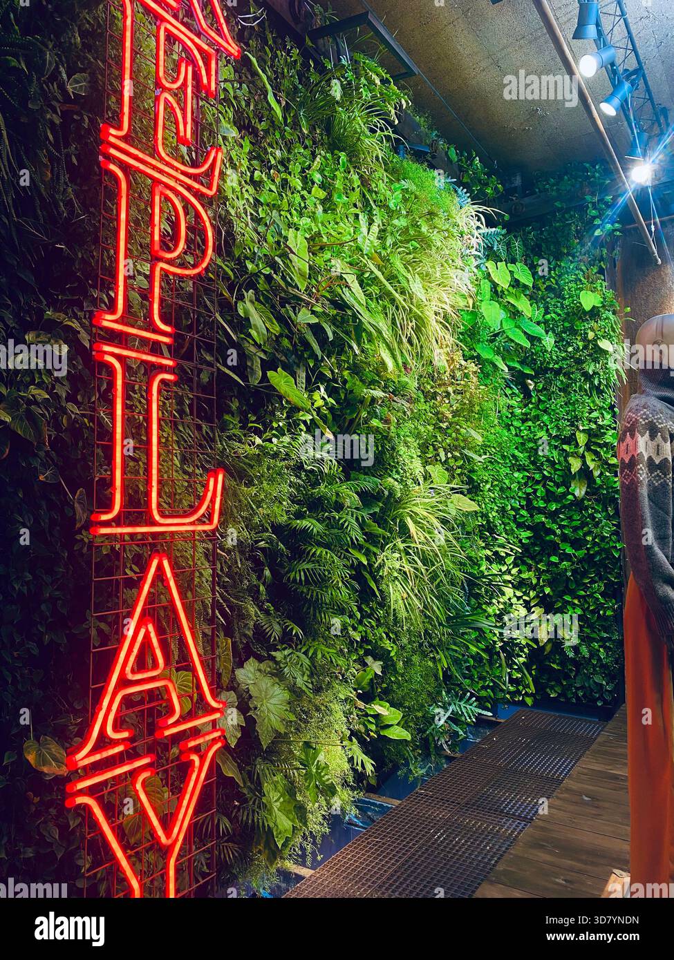 Giardino verticale in una vetrina. Barcellona Foto Stock