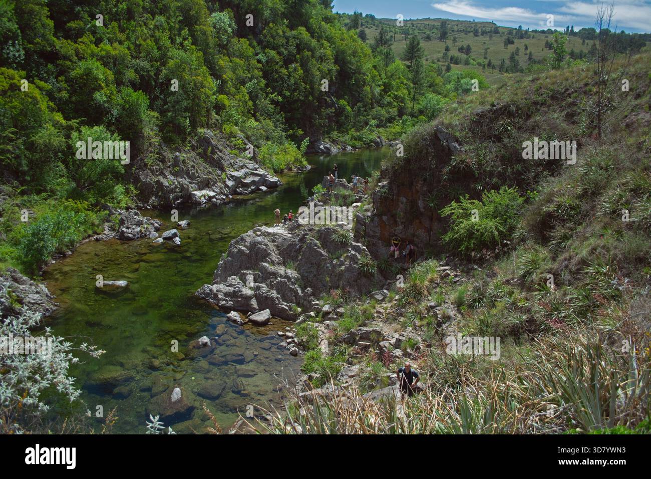 Ampio colpo di un torrente di montagna circondato da rocce, cespugli e alberi. Ripresa alla luce del giorno nel mezzo di una foresta. Foto Stock