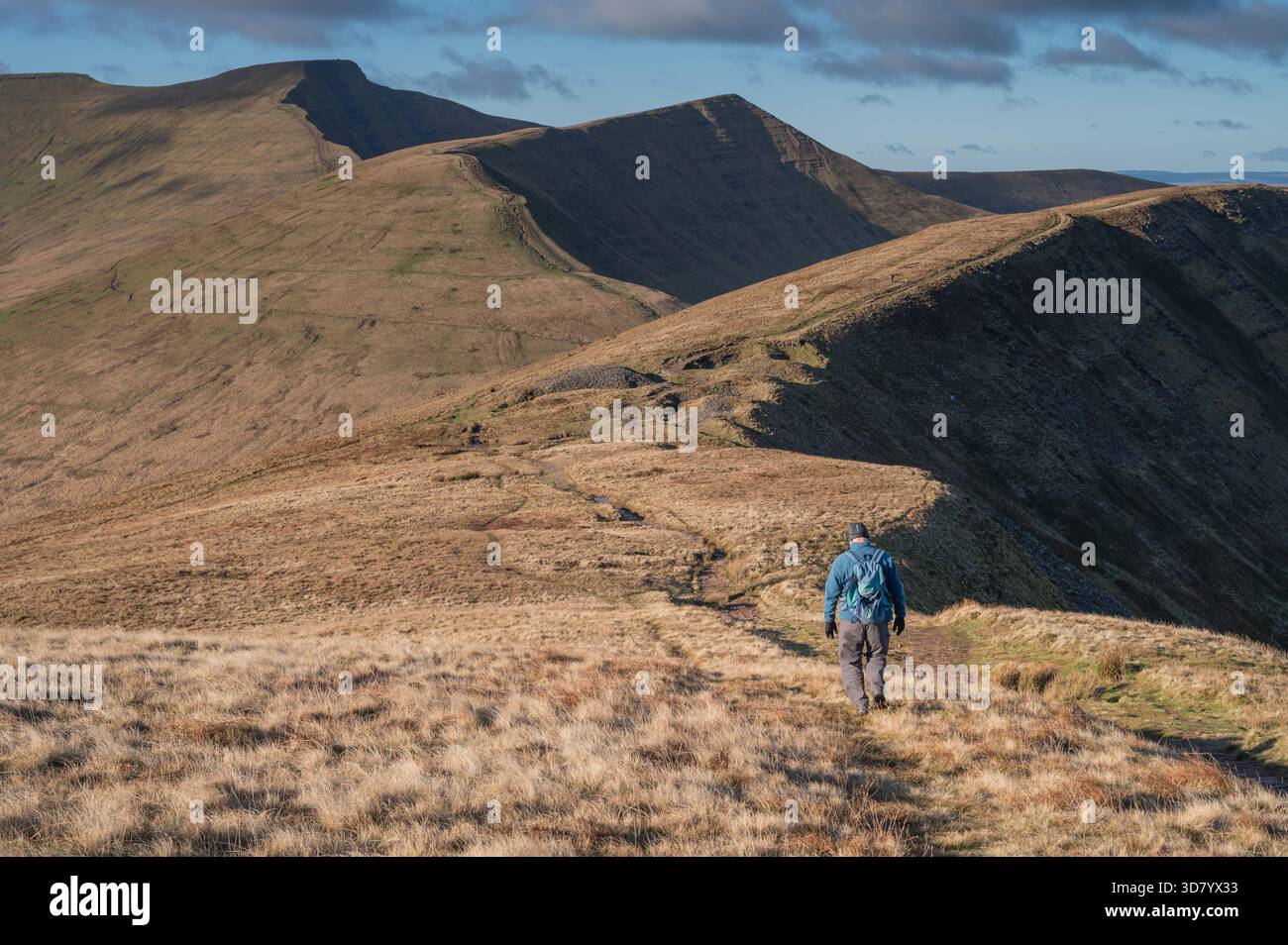 Camminatore maschile su Craig Cwm Oergwm sulla Cambrian Way nei fari di Brecon centrale Foto Stock