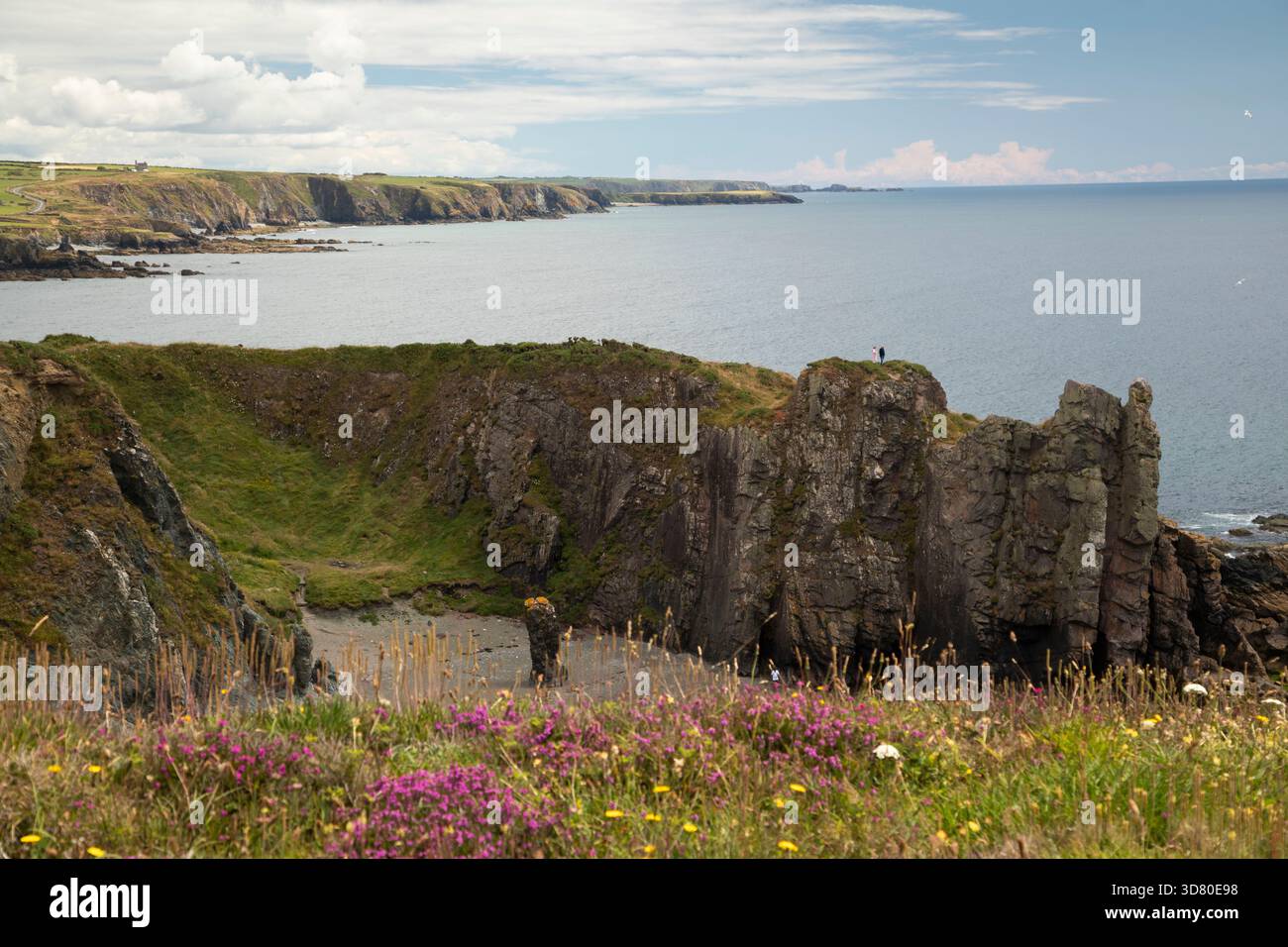Vista sopra Trá na mBó, il filone di mucche, con la costa al largo della costa di rame sullo sfondo nella contea di Waterford nella regione di Munster, in Irlanda Foto Stock