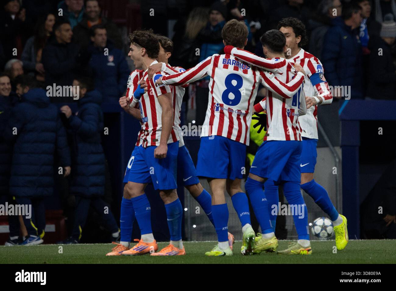 Madrid, Spagna. 26 novembre 2025. Diversi giocatori dell'Atletico Madrid celebrano un gol nella partita di UEFA Champions League tra l'Atlético de Madrid e l'Internazionale de Milan allo stadio Metropolitano. Punteggio finale: Atlético de Madrid 2-1 Inter credito: D. Canales Carvajal/Alamy Live News Foto Stock