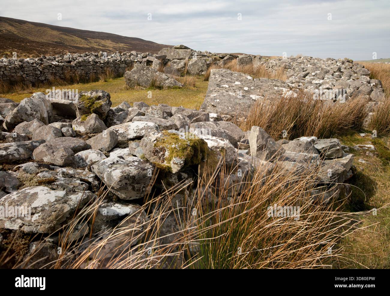 Tomba di corte di Cloghanmore, probabilmente risalente al 3000 a.C., a Donegal, nella regione dell'Ulster in Irlanda Foto Stock