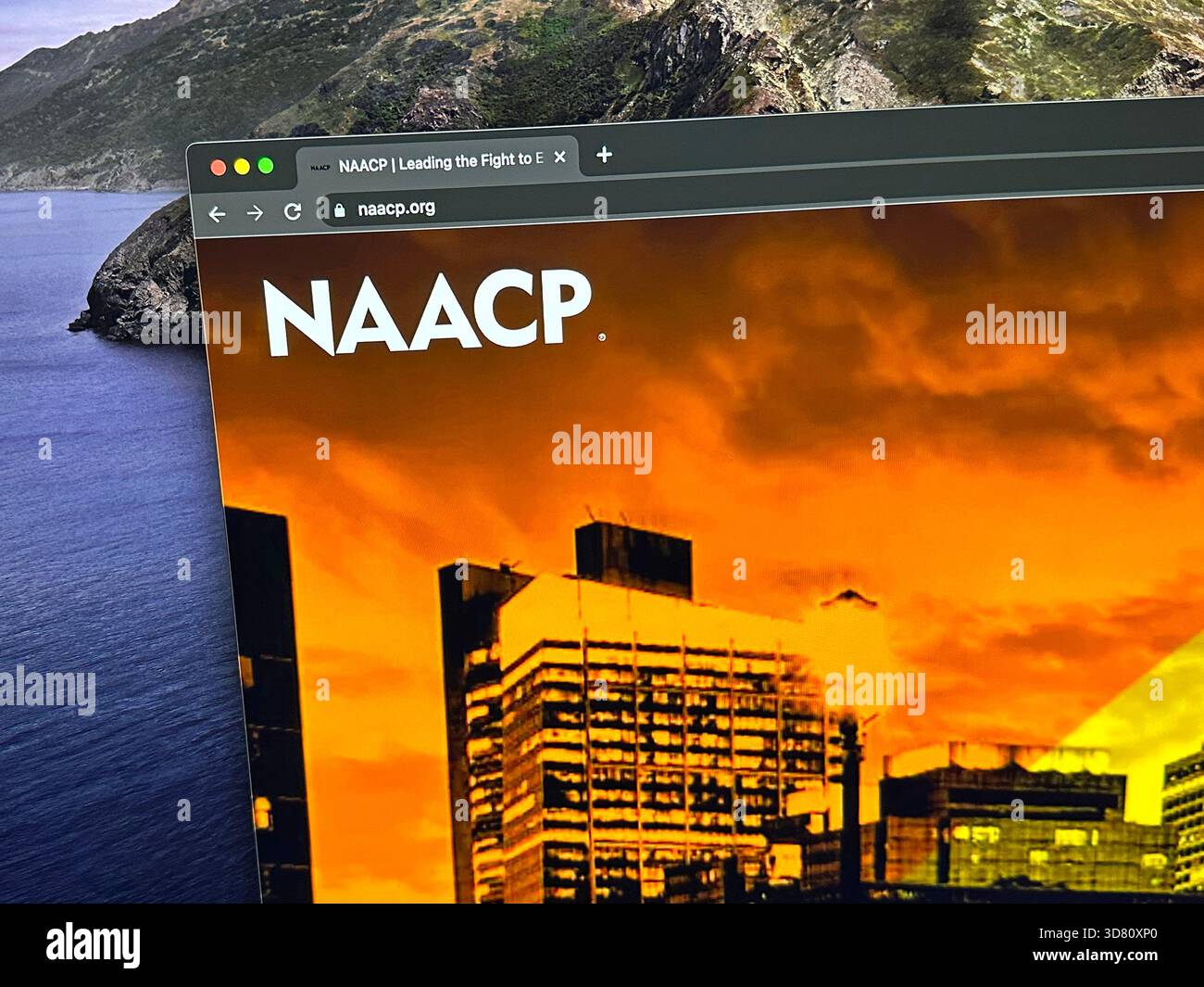 Baltimora, Stati Uniti - 21 maggio 2023: Sito web della National Association for the Advancement of Colored People (NAACP). Foto Stock