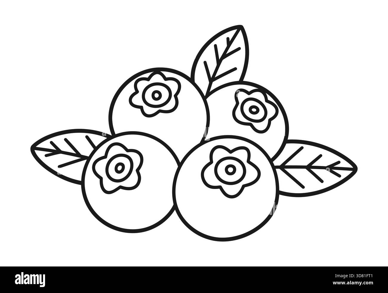 Semplice disegno in linea di mirtilli freschi con foglie Illustrazione Vettoriale