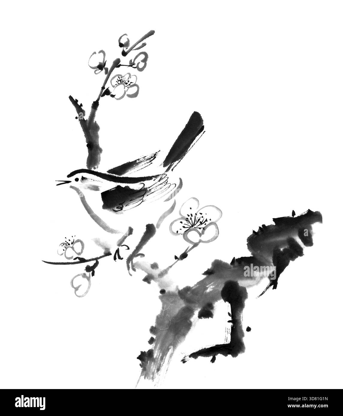 Pittura cinese, fiori di prugne e uccelli, su sfondo bianco Foto Stock