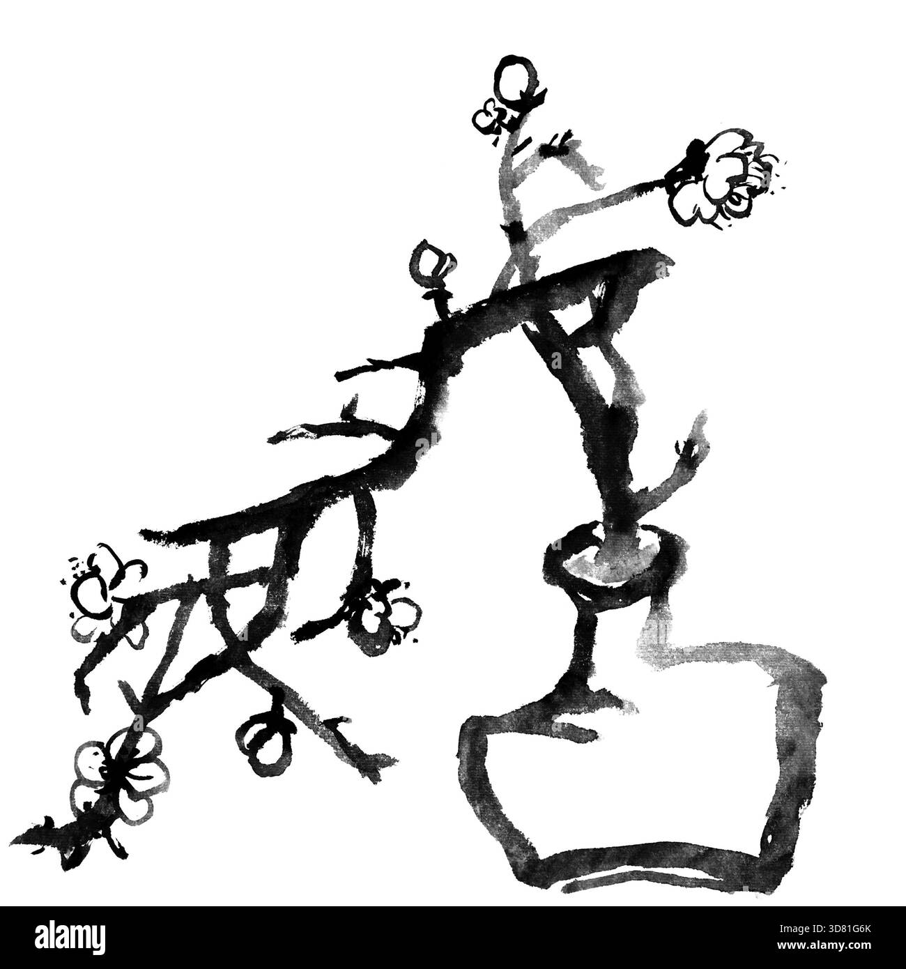 Tradizionale pittura cinese a inchiostro in bianco e nero, fiori di prugna su sfondo bianco Foto Stock