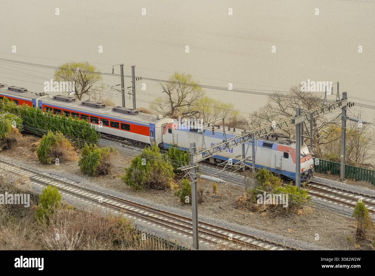 Vista panoramica di un treno che passa per gli alberi di Plum Blossom a Sunmaewon, Yangsan, Corea Foto Stock