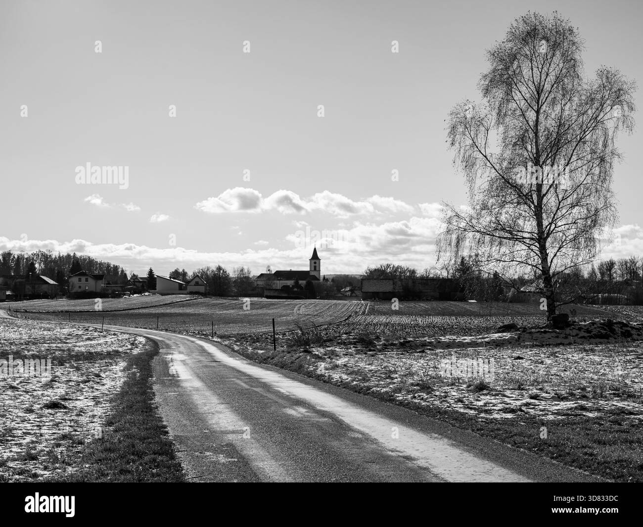 Sentiero per Schrems con campi e sfondo della chiesa betulla inverno vista artistica in bianco e nero Foto Stock