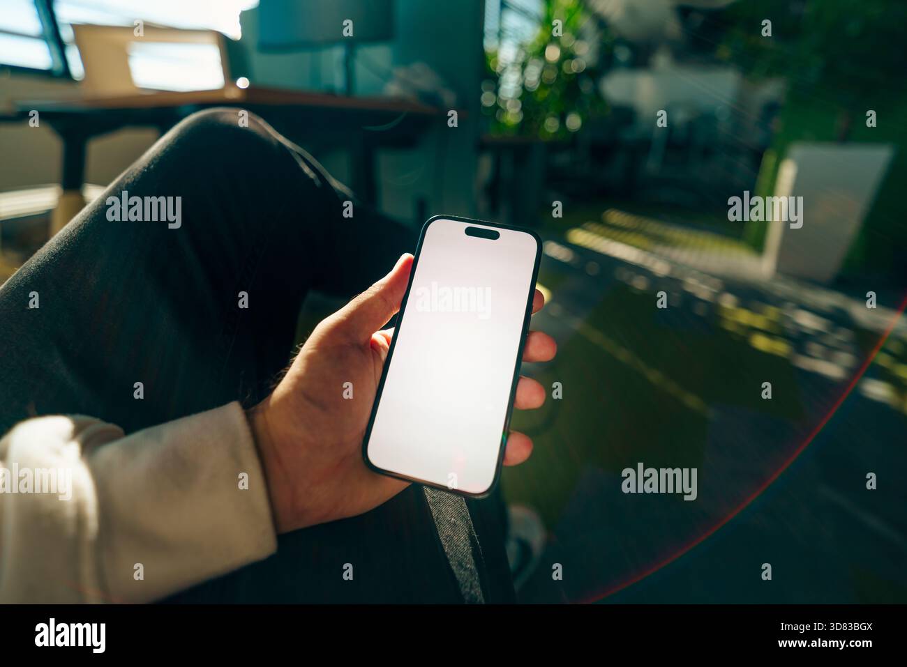 L'app mockup dello schermo del telefono visualizza una luce da ufficio verde. Spazio di lavoro moderno e rilassato con vegetazione e luce solare, smartphone con mano e schermo vuoto per Foto Stock