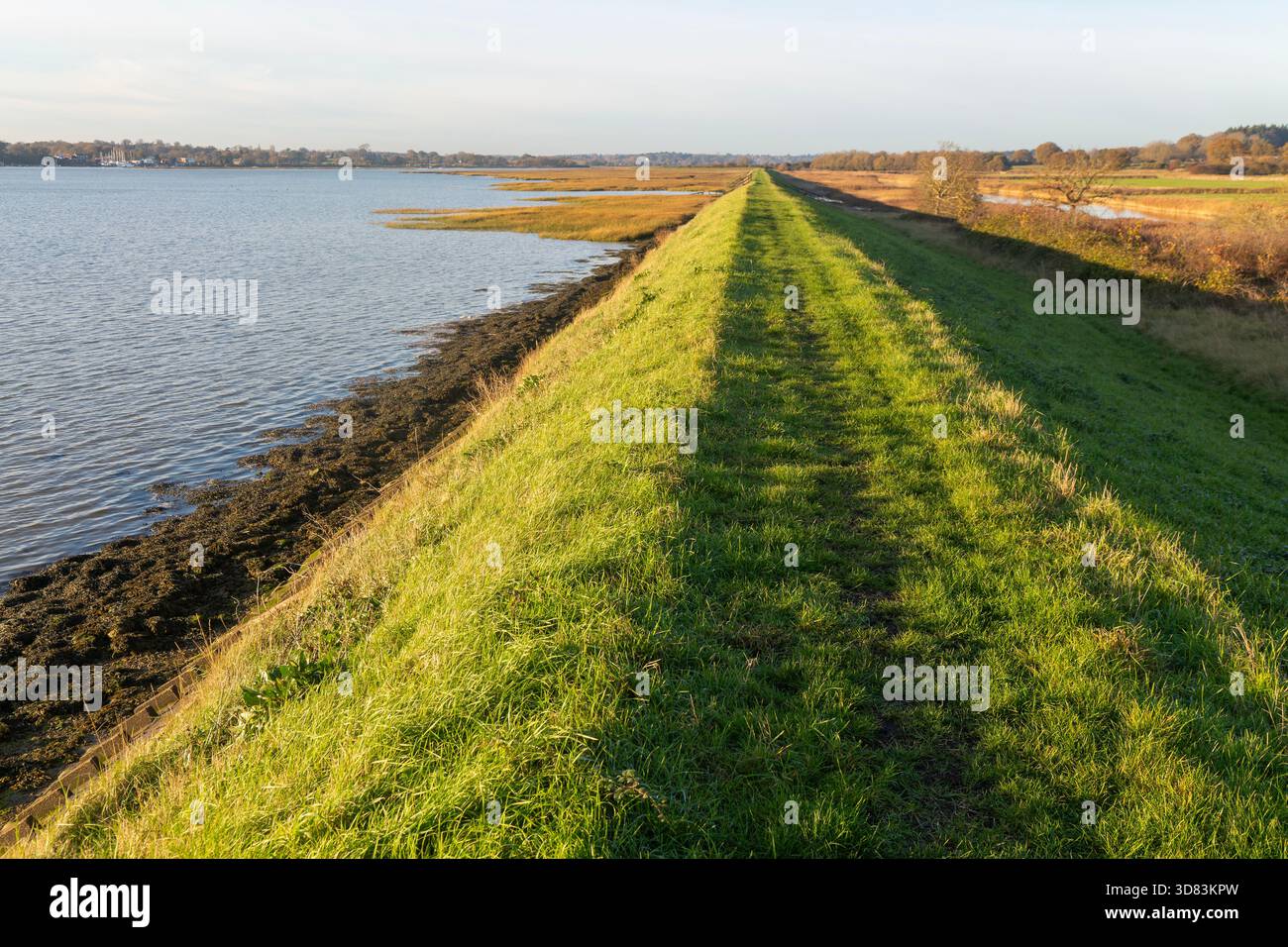 River Deben Earthwork Bank, muro di difesa dalle inondazioni, Sutton, Suffolk, Inghilterra, Regno Unito Foto Stock