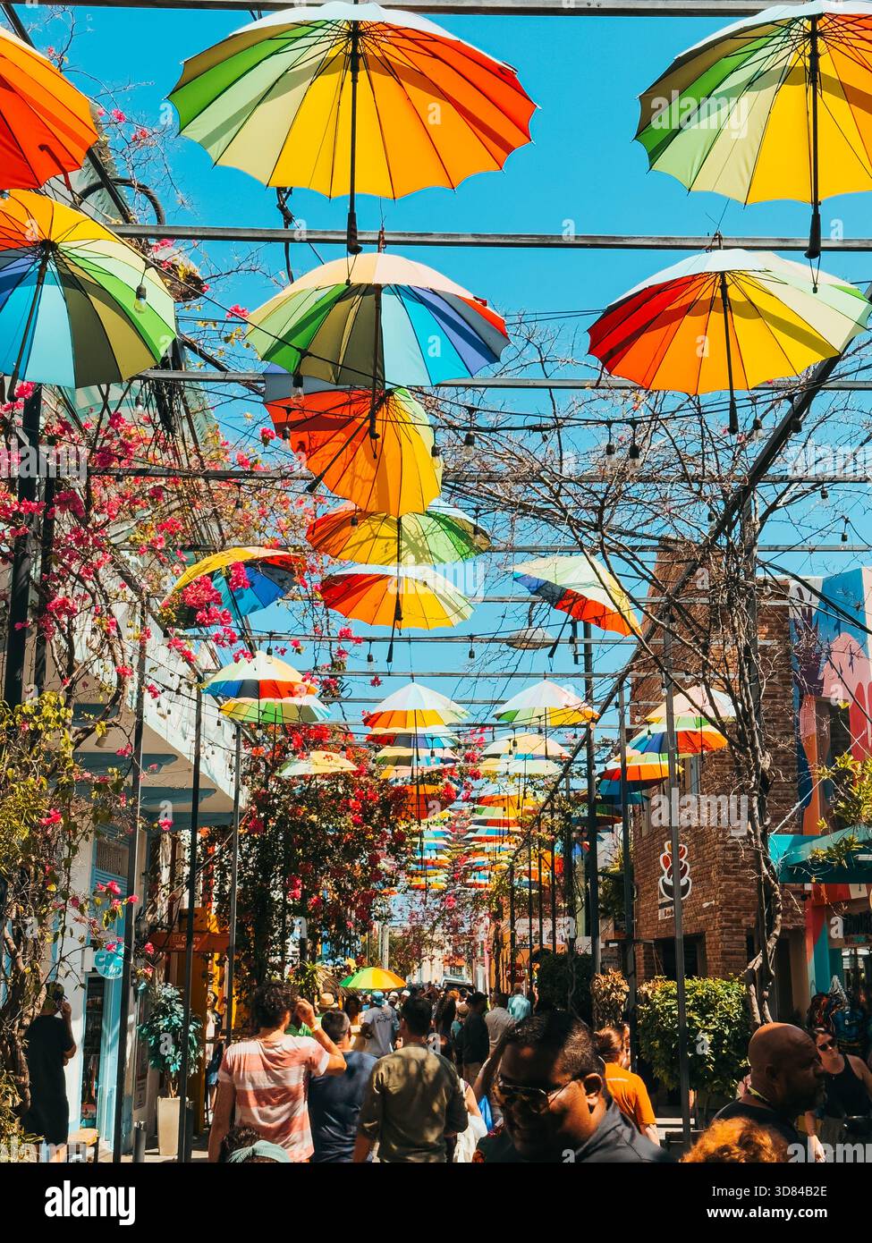 Colorata strada con ombrelli a Puerto Plata, Repubblica Dominicana, con vivaci tettoie sospese che gettano ombre giocose su un vivace passaggio pedonale Foto Stock