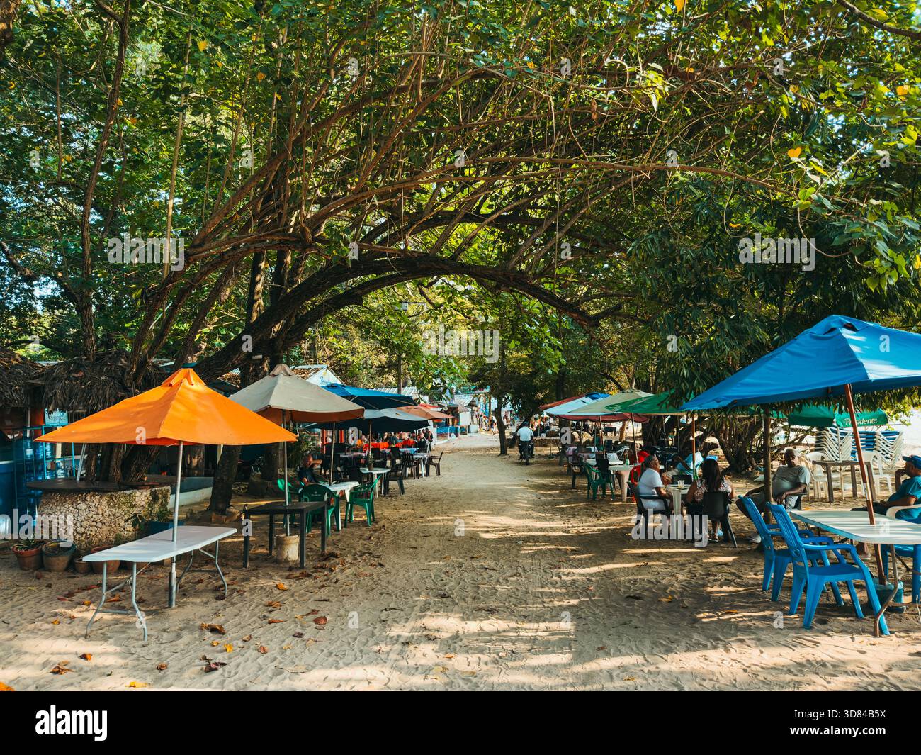 Colorati tavoli e ombrelli sulla spiaggia sotto un arco di alberi lussureggianti a Playa Sosúa, nella Repubblica Dominicana, a creare una vivace atmosfera tropicale Foto Stock