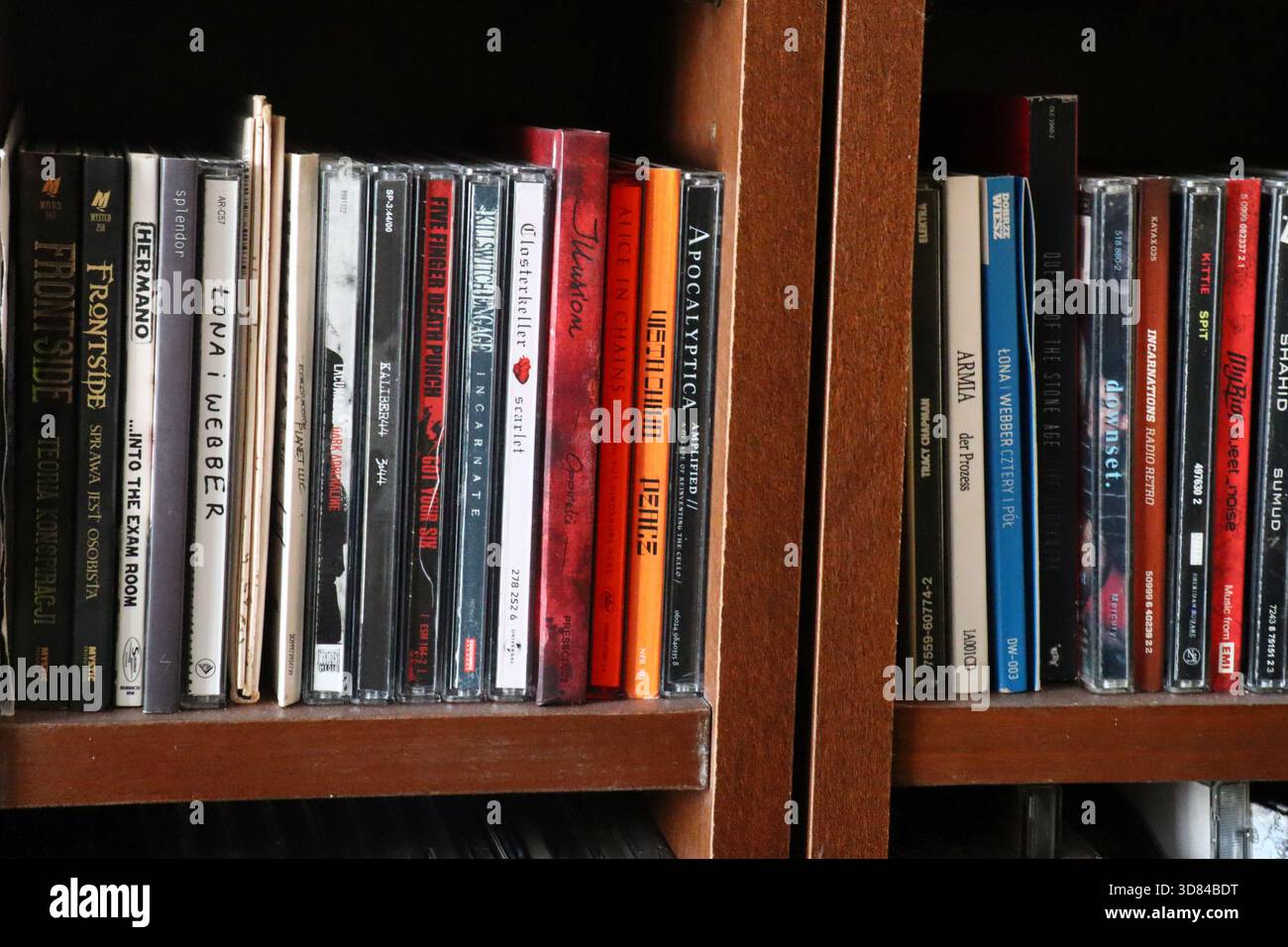 Ampia raccolta di Compact Disc sugli scaffali Foto Stock