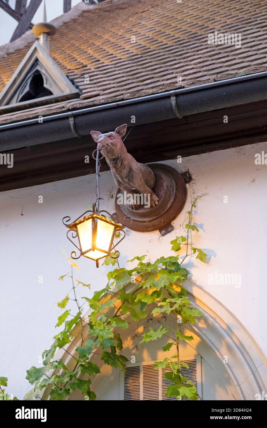 Francia, Bas Rhin, Strasburgo, Rue du Renard Prechant, cappella del XVI secolo, wine bar Foto Stock