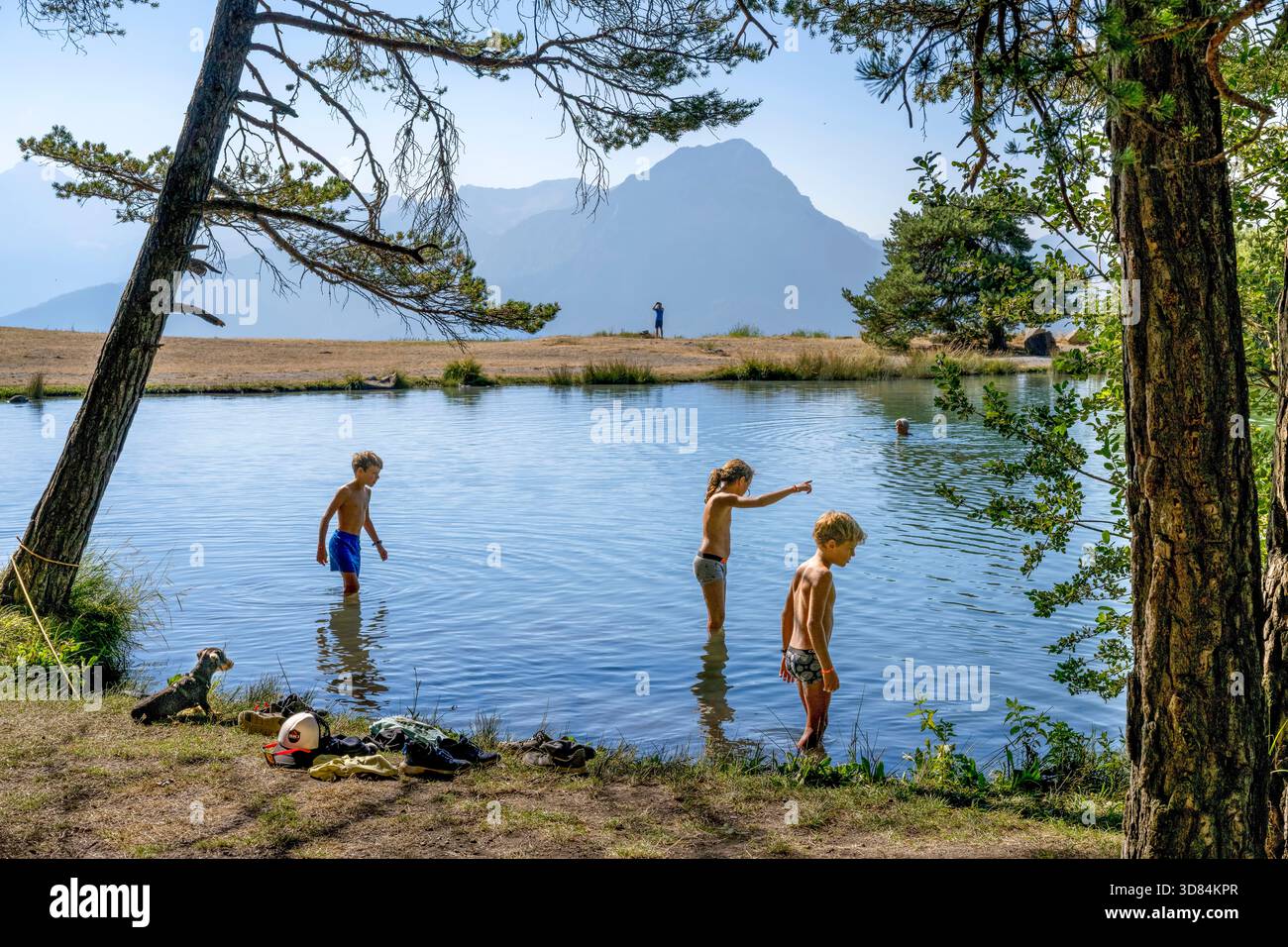 Francia, Hautes Alpes, Saint-Apollinaire, lago di Saint-Apollinaire (1452 m) e cima del PIC de Morgon (2324 m) sullo sfondo Foto Stock