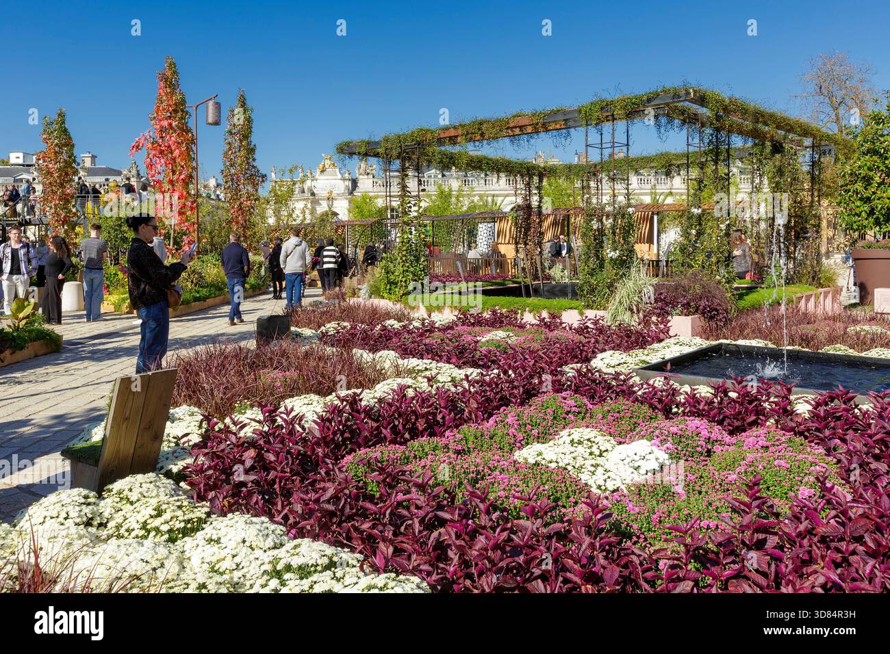 Francia, Meurthe et Moselle, Nancy, piazza Stanislas (ex piazza reale) dichiarata Patrimonio dell'Umanità dall'UNESCO, costruita sotto Stanislas Leszczynski, re di Polonia e ultimo duca di Lorena nel XVIII secolo, durante l'evento Jardin Ephemere del 2025 che celebra il 100° anniversario dell'inizio dell'Art Deco basato sul tema de graines d'art deco (dai semi di stile Art Deco, qui sullo sfondo della piazza Stanislas, quadro con piante fatte per ricordare il Musee Aquarium de Nancy (museo e acquario di Nancy) in primo piano Foto Stock