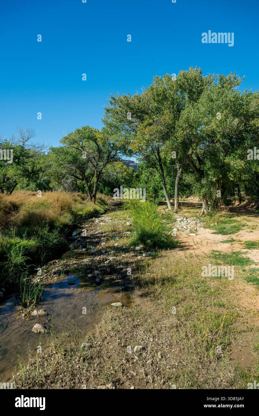 Veduta del Mill Creek a Moab, Utah, Stati Uniti. Foto Stock