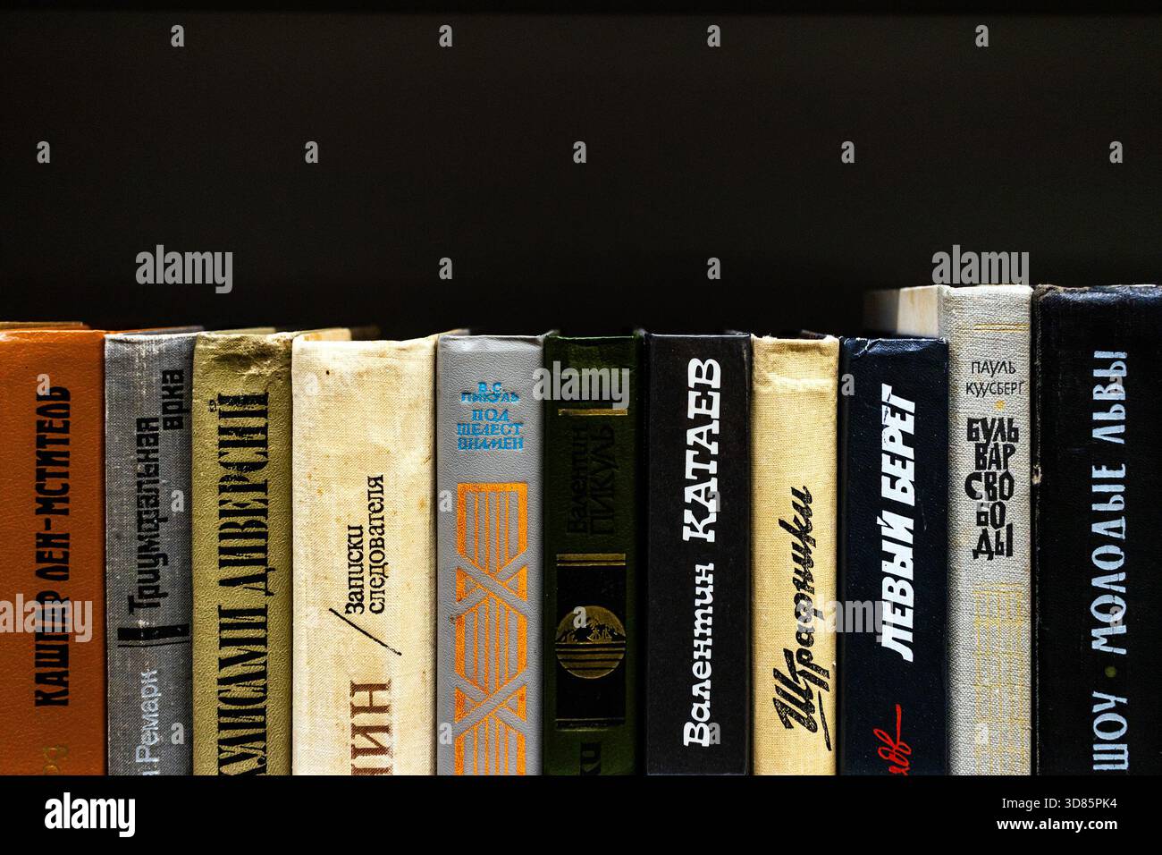 Le spine del libro in alfabeto russo e cirillico disposte su uno scaffale Foto Stock