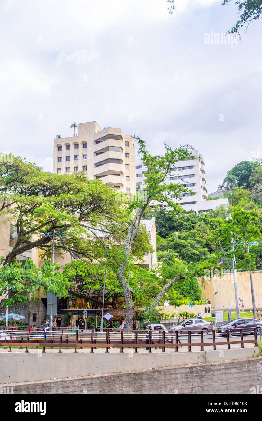 Una vivace vista del Cat Park a Cali, Valle del Cauca, con alberi lussureggianti e una vivace atmosfera urbana. Foto Stock