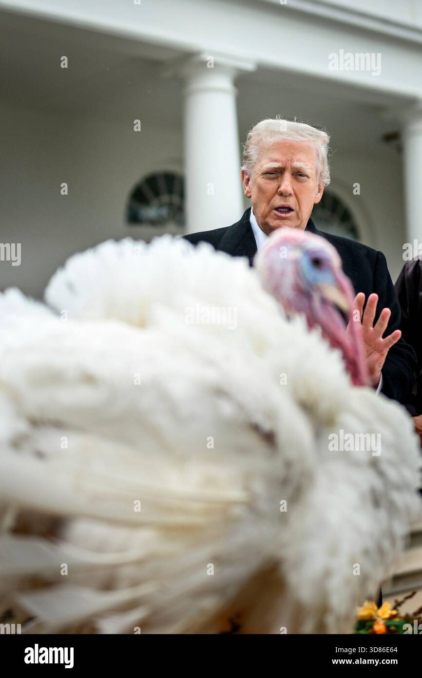 Washington, Stati Uniti d'America. 25 novembre 2025. Il presidente degli Stati Uniti Donald Trump perdona ufficialmente il Ringraziamento nazionale della Turchia durante l'evento annuale al Rose Garden della Casa Bianca, il 25 novembre 2025 a Washington, D.C. Trump scherzò sul fatto che stava pensando di inviare i turchi alla famigerata prigione CECOT di El Salvador, ma decise invece di perdonarli. Credito: Daniel Torok/White House Photo/Alamy Live News Foto Stock