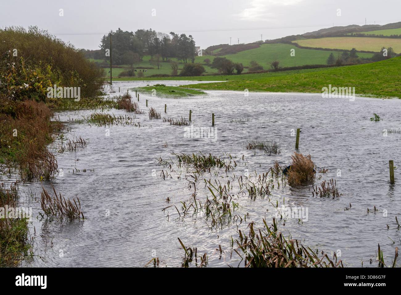 Meteo irlandese: I campi inondano a Tragumna, West Cork, Irlanda. Foto Stock