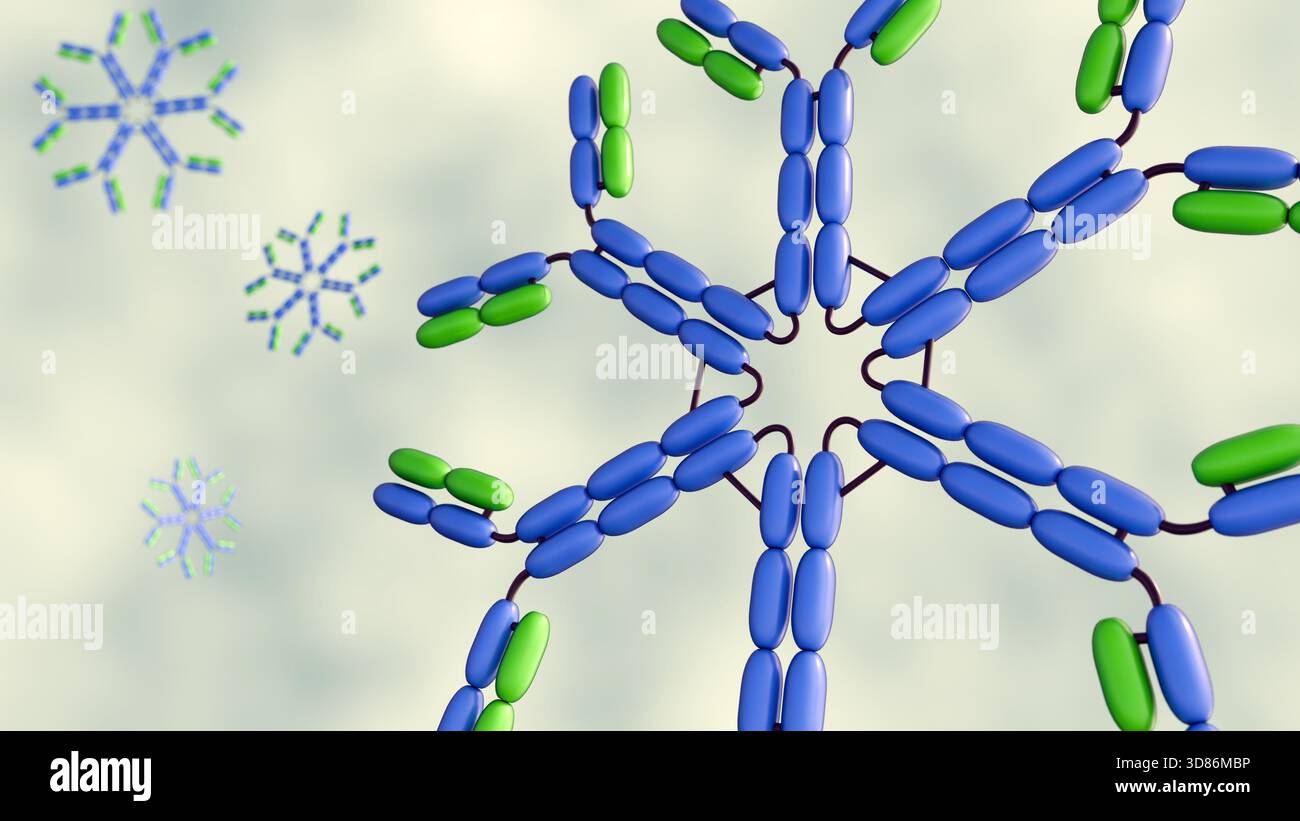 Un diagramma 3D dettagliato dell'esamero IgM, una forma anticorpale secreta dalle cellule B e fondamentale per la risposta immunitaria precoce. Foto Stock
