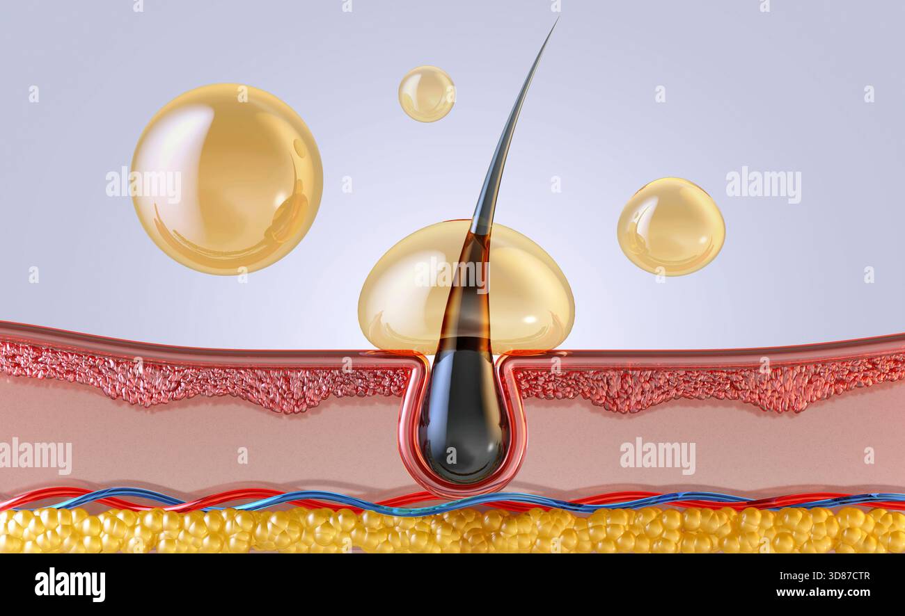 Cura dei capelli, illustrazione concettuale. Follicolo di capelli umani con goccioline d'olio. Foto Stock