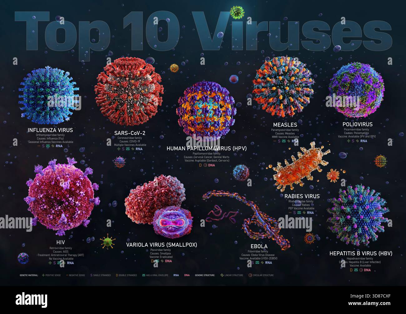 Illustrazione dei dieci virus più noti. Foto Stock