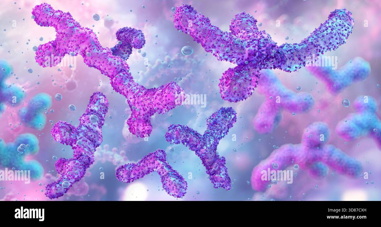 Illustrazione del Bifidobacterium, un genere di batteri benefici che si trovano nell'intestino umano. Foto Stock