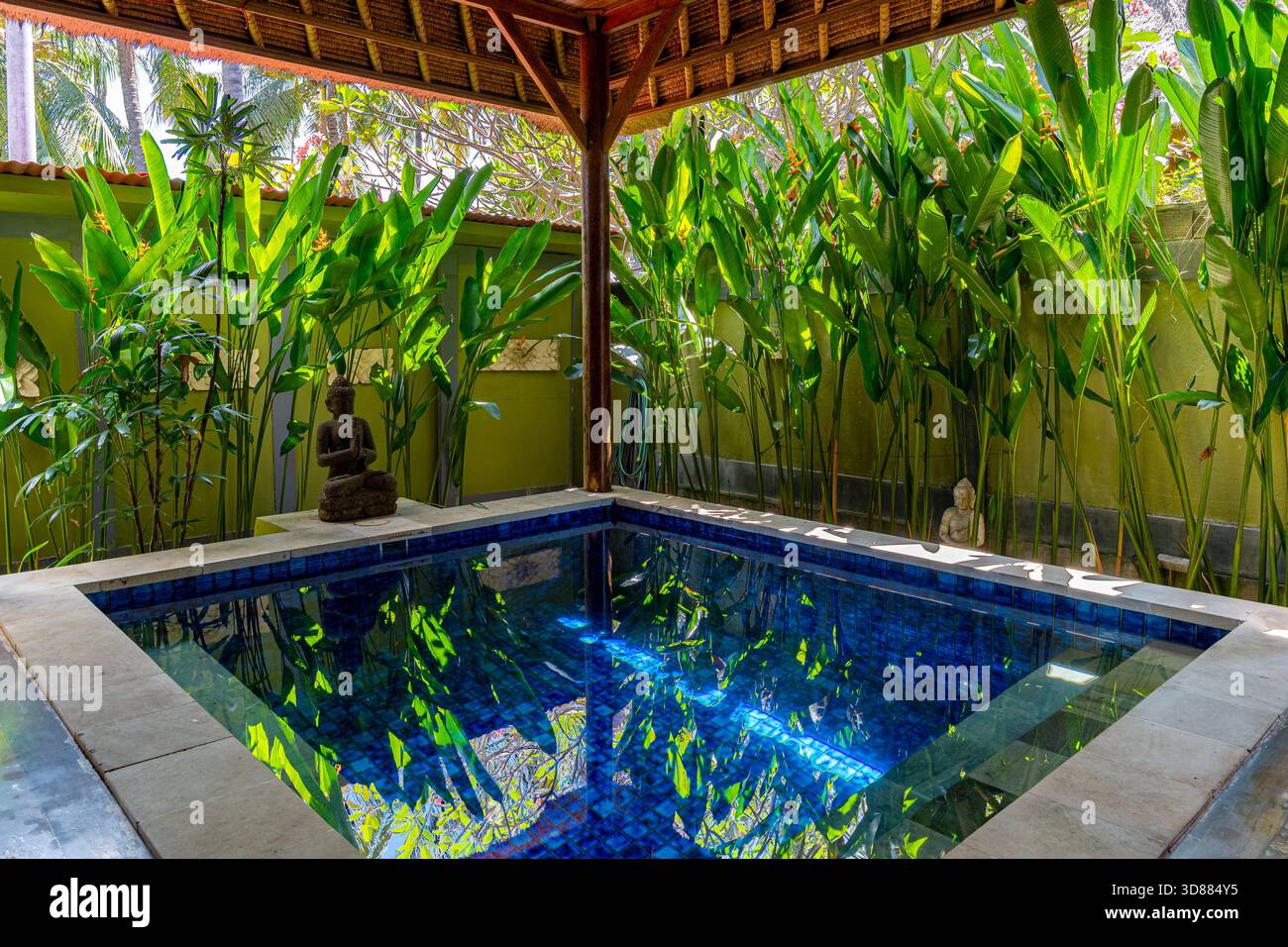 Una piccola piscina con un muro verde e una statua di Buddha. La piscina e' circondata da piante ed ha un'atmosfera tranquilla Foto Stock