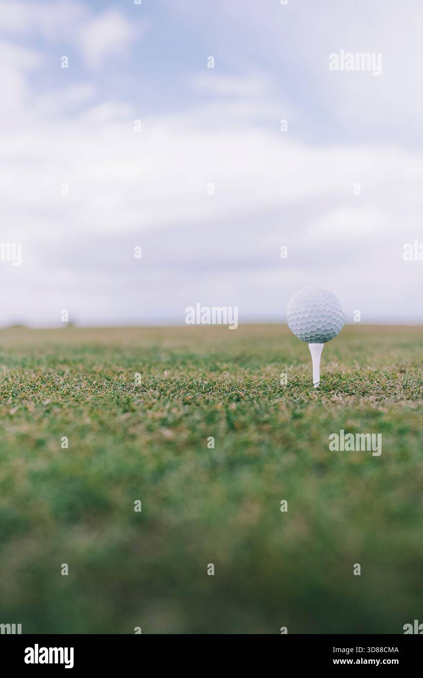 Attenzione selettiva della palla da golf tenuta sul tee nel campo verde contro il cielo nuvoloso Foto Stock
