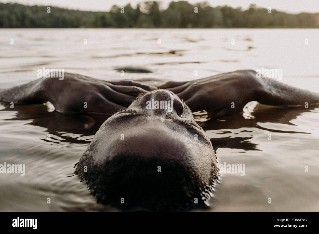 Colpo di testa di un uomo rilassato che giace in acqua al lago Foto Stock