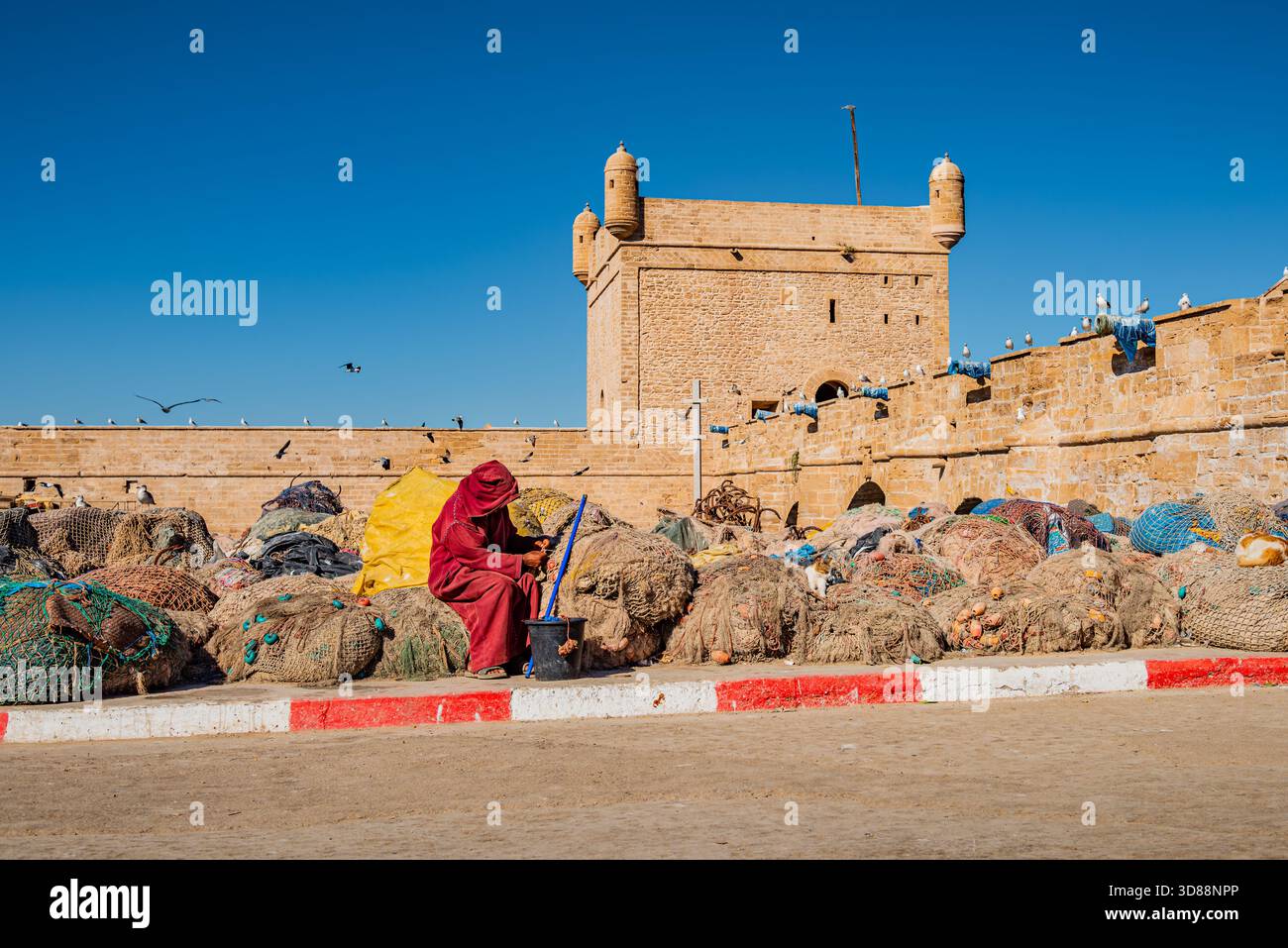 Pescatore marocchino che riposa con il gatto arancione sulle reti da pesca presso le mura della fortezza di Essaouira Foto Stock