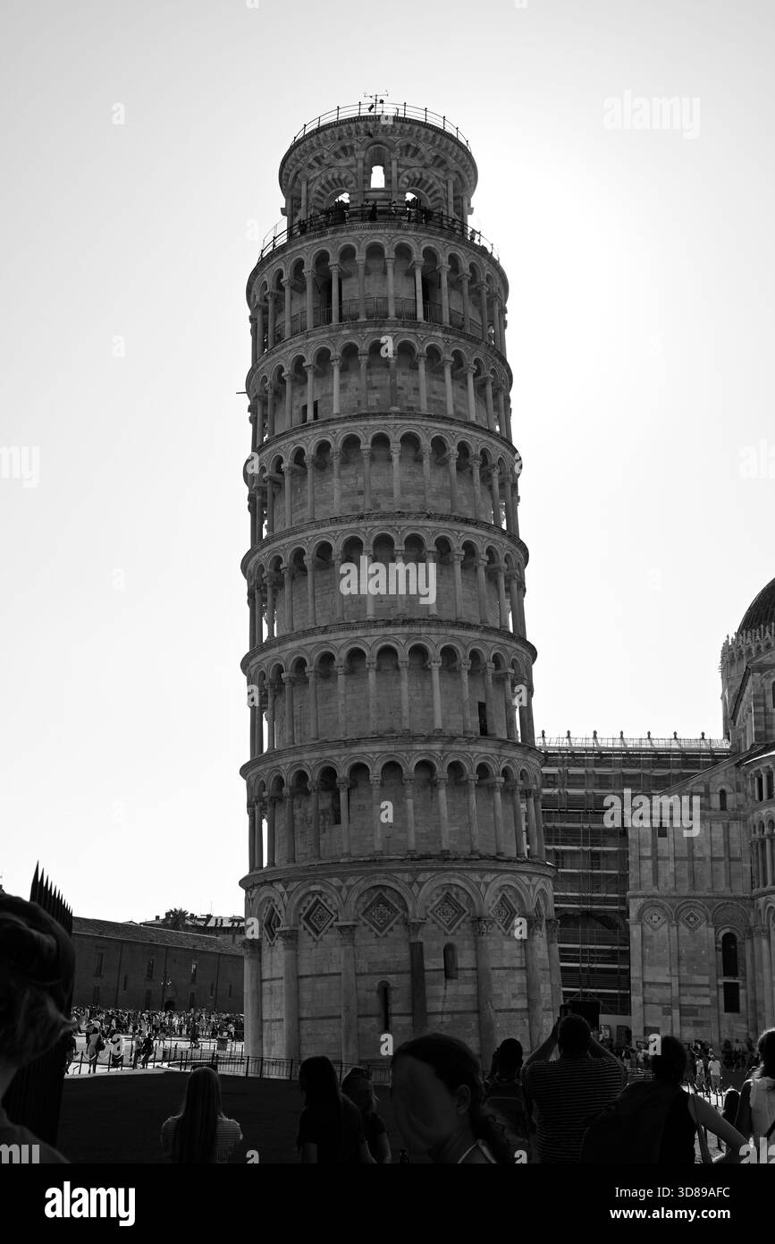 La torre pendente di Pisa Foto Stock