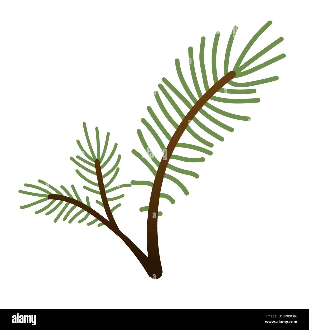 Illustrazioni Evergreen. Piante invernali dipinte a mano. Ramo in abete rosso per la progettazione, la stampa, lo sfondo o il biglietto d'auguri. Illustrazione Vettoriale