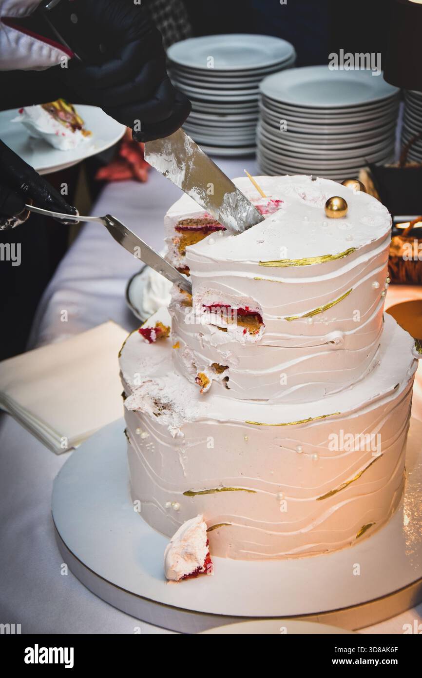 Tagliare una torta a una festa, un matrimonio di compleanno Foto Stock