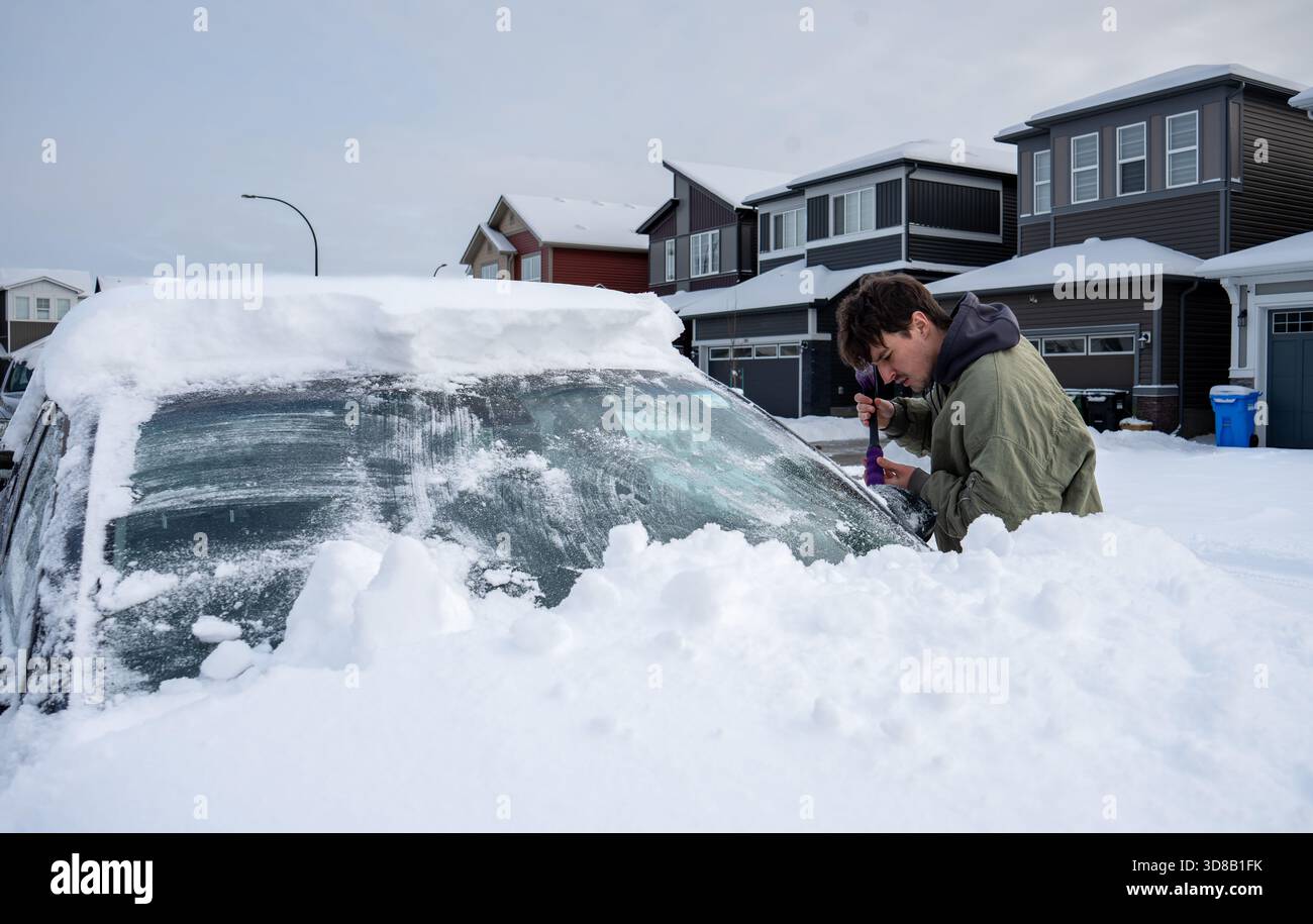 La persona raschia la neve dal parabrezza dell'auto dopo una forte nevicata in un'area residenziale. Calgary, Alberta Foto Stock