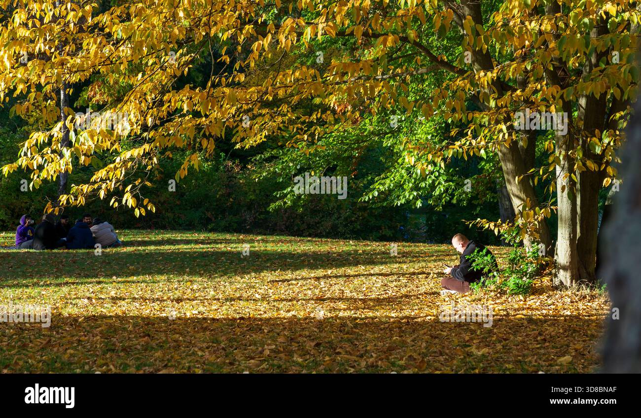 Scena autunnale in un parco cittadino di Berlino: Un uomo siede da solo sotto un albero mentre un piccolo gruppo di uomini si riunisce a distanza su una coperta. Diversità in città. Foto Stock