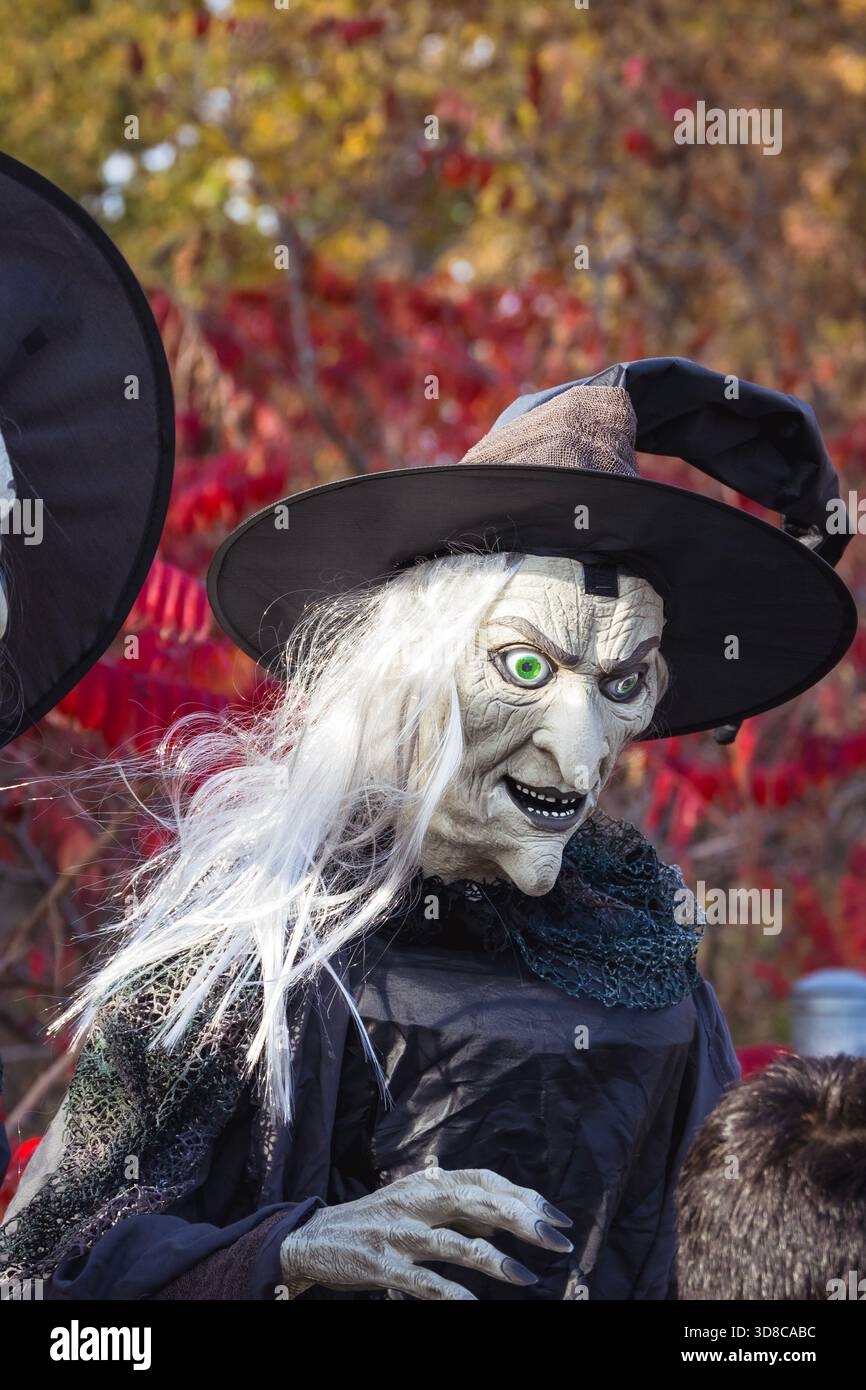 Due statue di strega con calderone e oggetti di scena si trovano in un'esposizione boschiva di Halloween in mezzo a un vivace fogliame autunnale. Foto Stock
