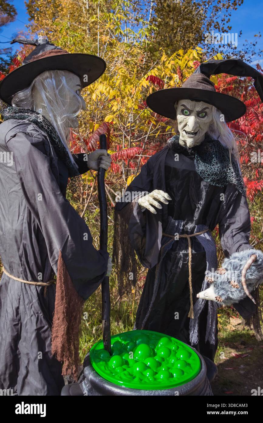 Due statue di strega con calderone e oggetti di scena si trovano in un'esposizione boschiva di Halloween in mezzo a un vivace fogliame autunnale. Foto Stock
