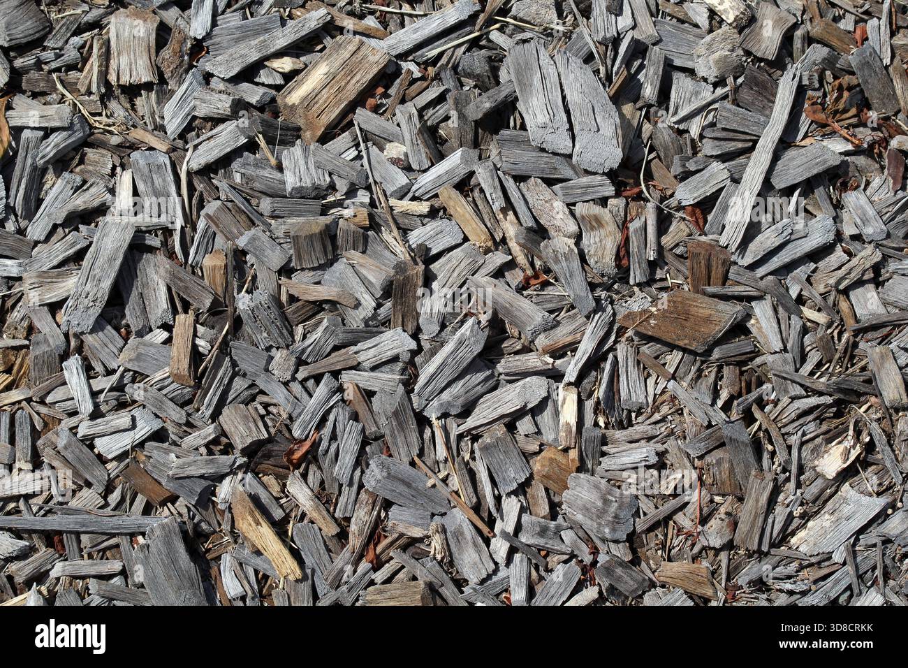 Pacciame di legno in uno sfondo di texture astratta da primo piano del giardino Foto Stock