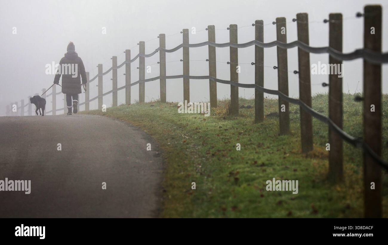 Bad Saulgau, Germania. 30 novembre 2025. Una donna cammina il suo cane nella nebbia. Crediti: Thomas Warnack/dpa/Alamy Live News Foto Stock