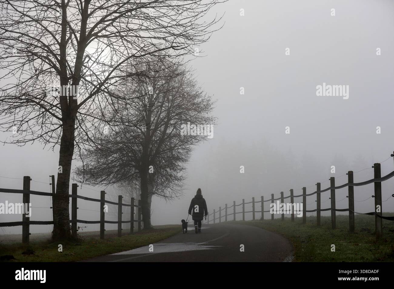 Bad Saulgau, Germania. 30 novembre 2025. Una donna cammina il suo cane nella nebbia. Crediti: Thomas Warnack/dpa/Alamy Live News Foto Stock