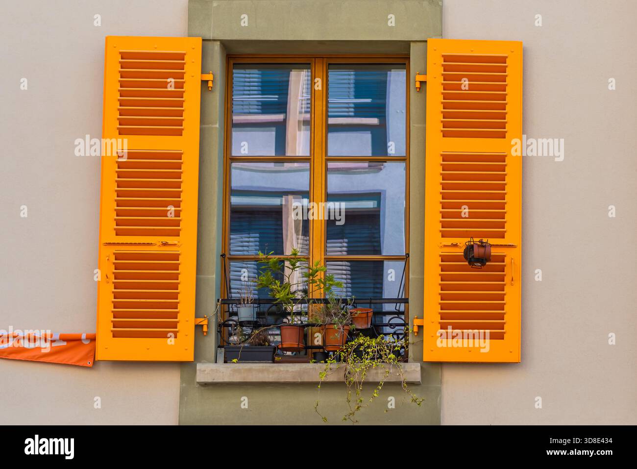 Primo piano di una finestra con persiane in legno di colore giallo brillante a Ginevra, Svizzera. Diverse piccole piante in vaso si trovano sulla sporgenza esterna della finestra. Foto Stock