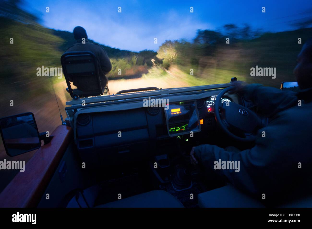 Safari notturno alla riserva naturale di Nambiti Foto Stock