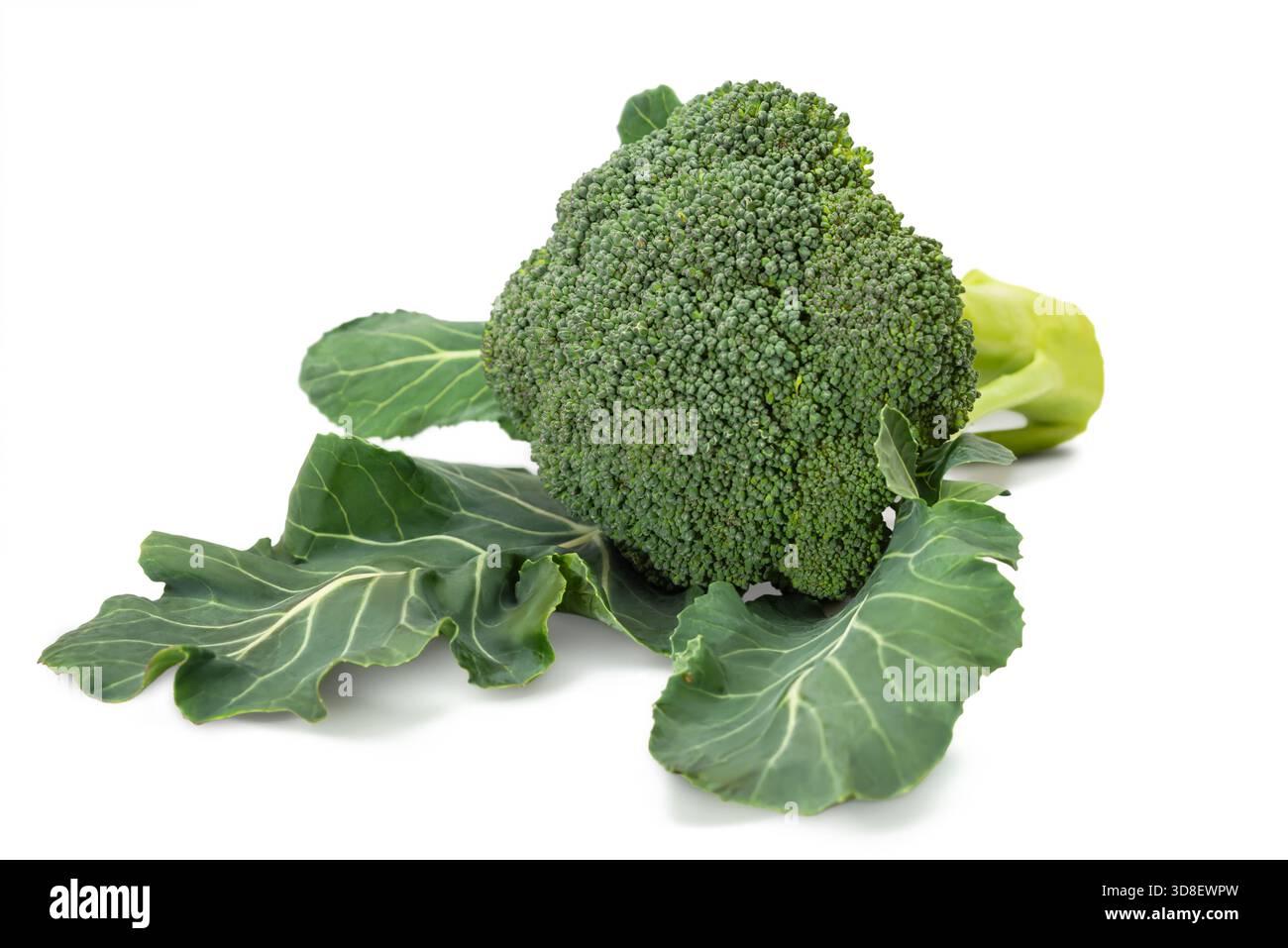 I broccoli freschi si affiancano a foglie verdi vivaci, evidenziandone le qualità nutrienti su sfondo bianco, ideali per un'alimentazione sana. Foto Stock